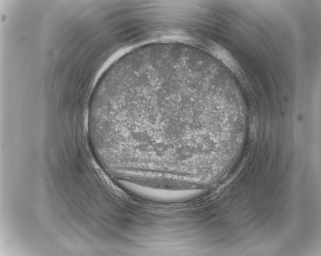 X0000085271420200704092128