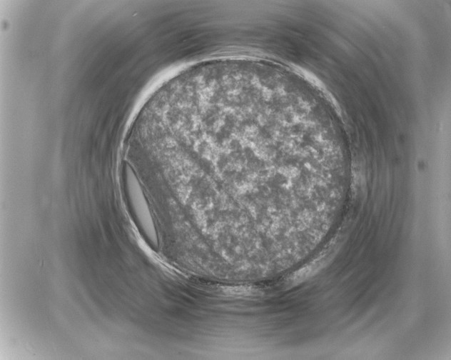 X0000085271421200704092128