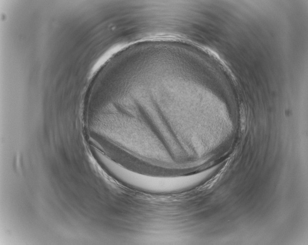 X0000085271422200704092128