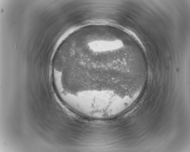 X0000085271424200704092128