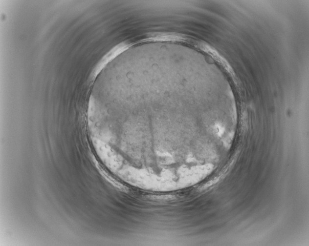 X0000085271425200704092128