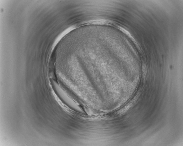 X0000085271426200704092128