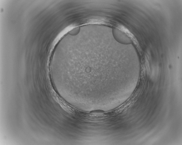 X0000085271427200704092128