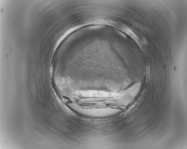 X0000085271428200704092128