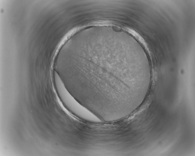 X0000085271429200704092128