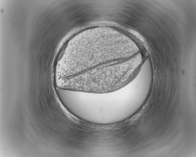 X0000085271430200704092128