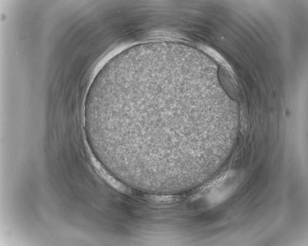 X0000085271431200704092128