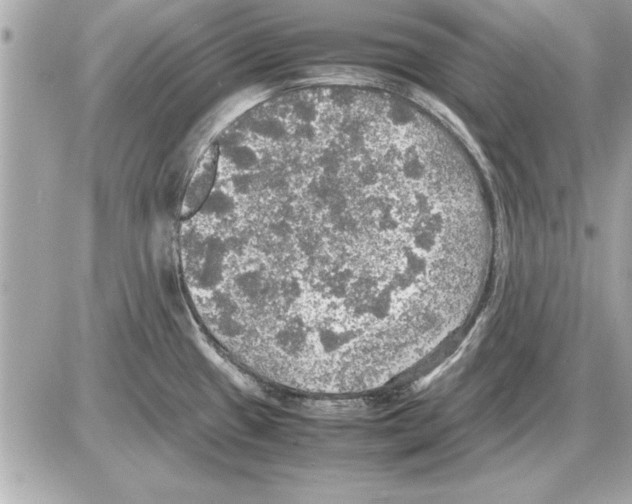 X0000085271433200704092129