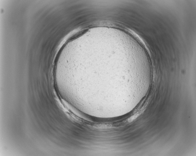 X0000085271434200704092129