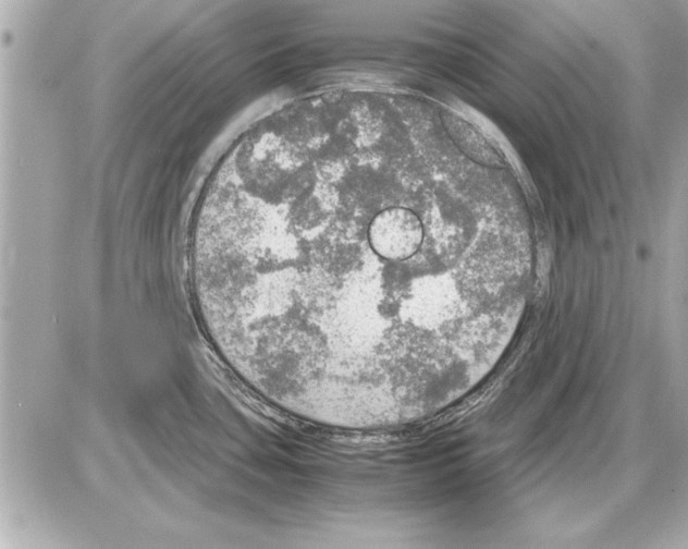 X0000085271435200704092129