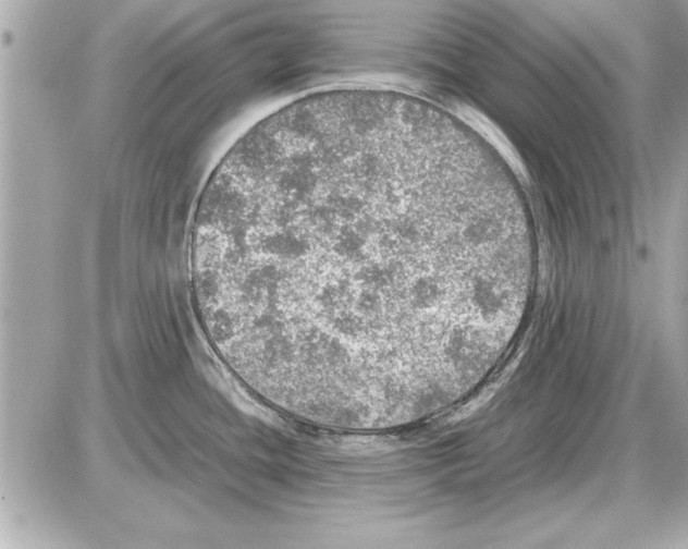 X0000085271436200704092129