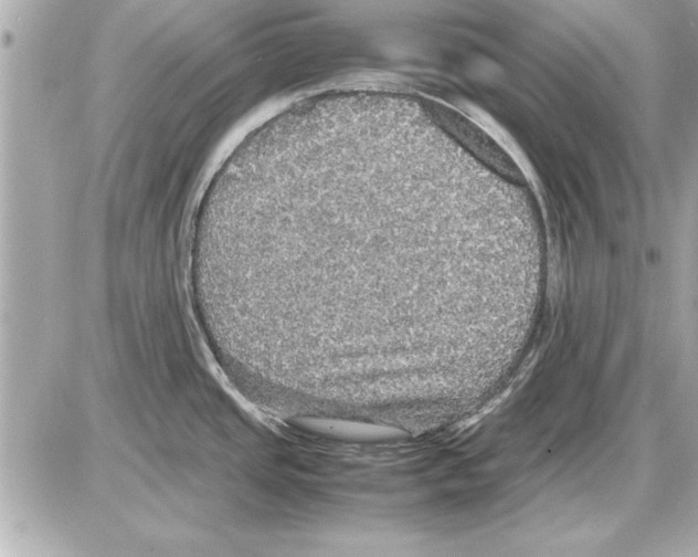 X0000085271437200704092129