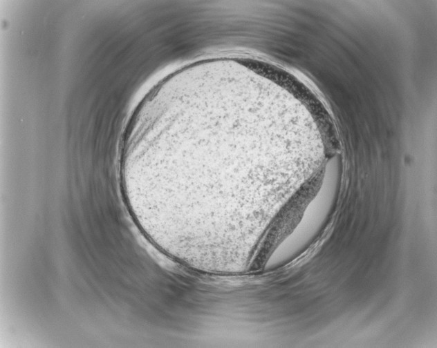 X0000085271438200704092129