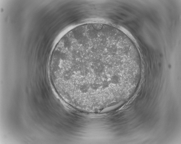 X0000085271440200704092129