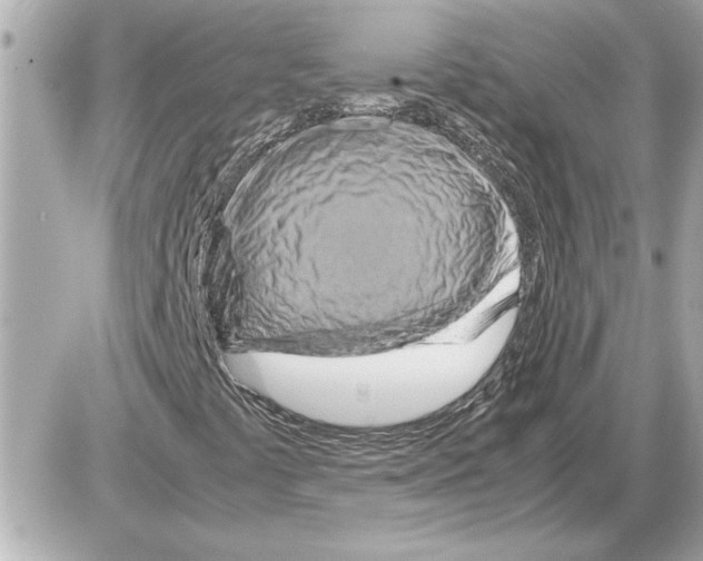 X0000085271441200704092128