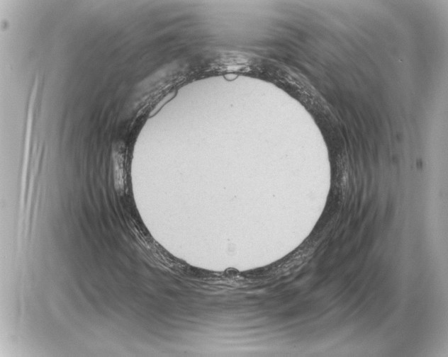 X0000085271442200704092128