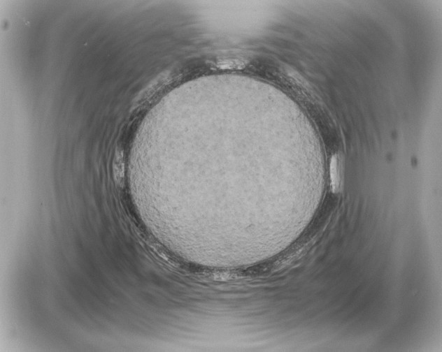 X0000085271443200704092128