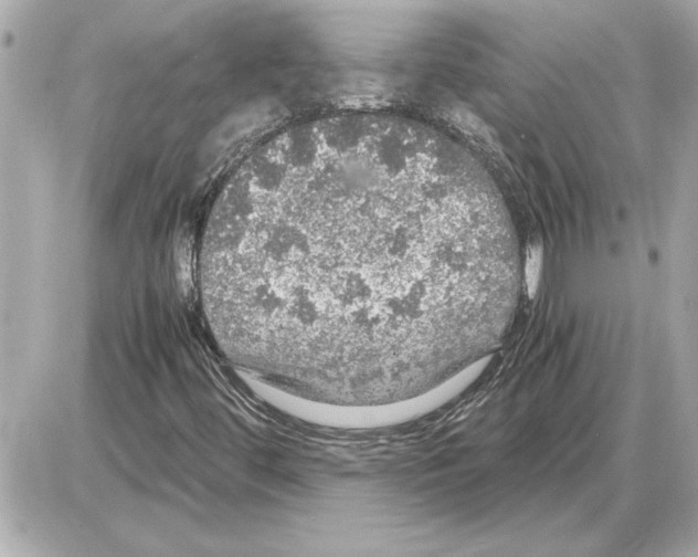 X0000085271444200704092128