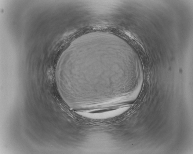 X0000085271445200704092128