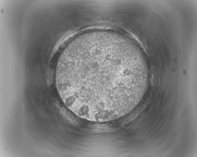 X0000085271448200704092128