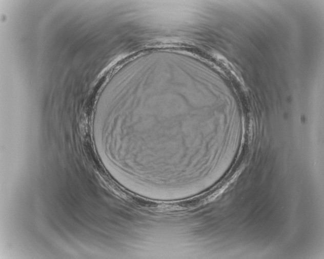 X0000085271449200704092128