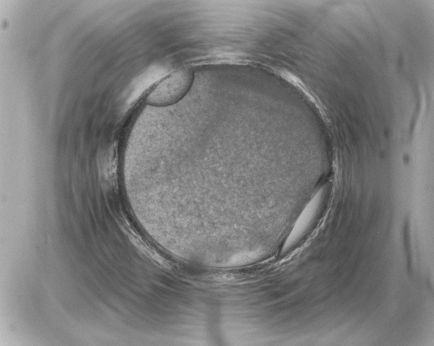 X0000085271450200704092128