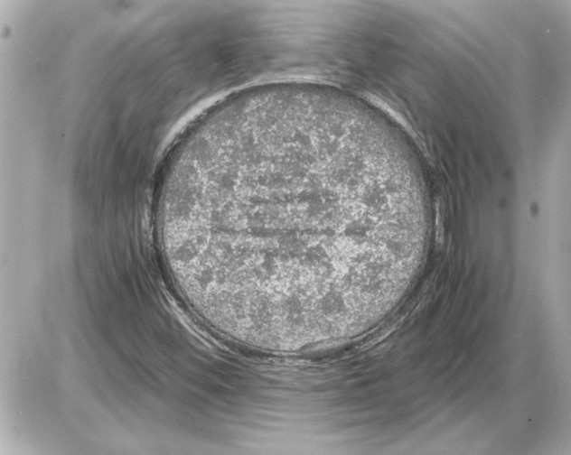 X0000085271452200704092128