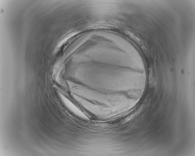 X0000085271453200704092128