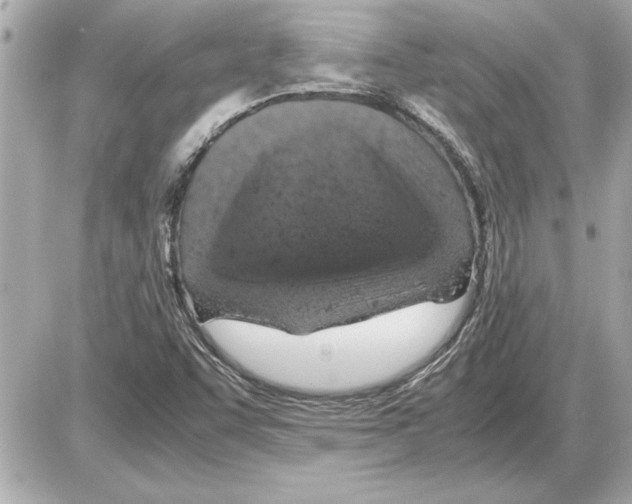 X0000085271455200704092128