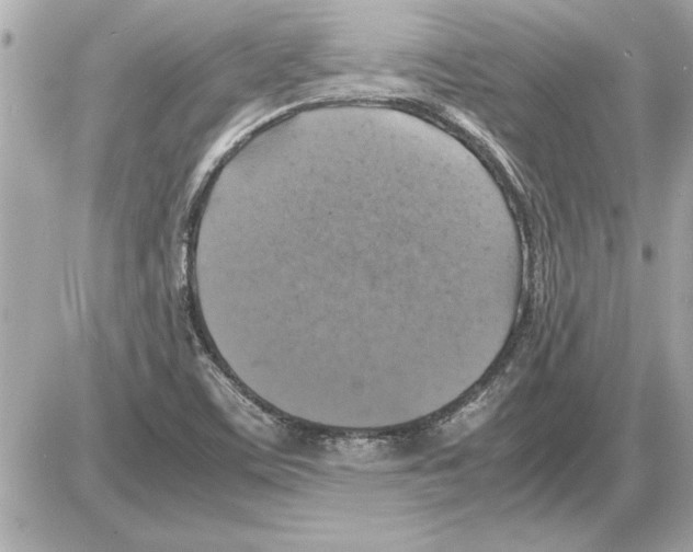 X0000085271459200704092128