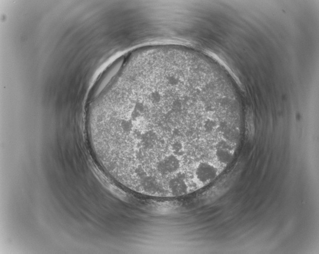 X0000085271460200704092128