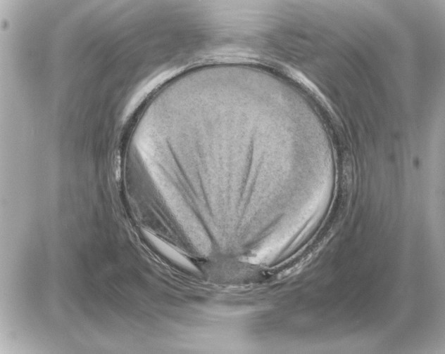 X0000085271461200704092128