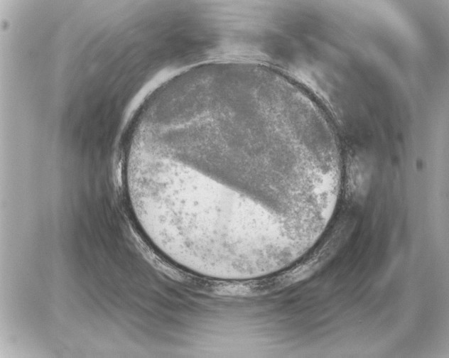 X0000085271462200704092128