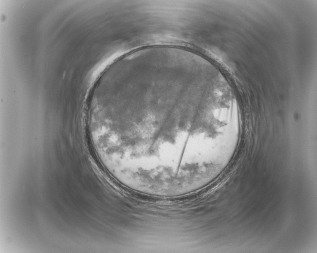 X0000085271463200704092127