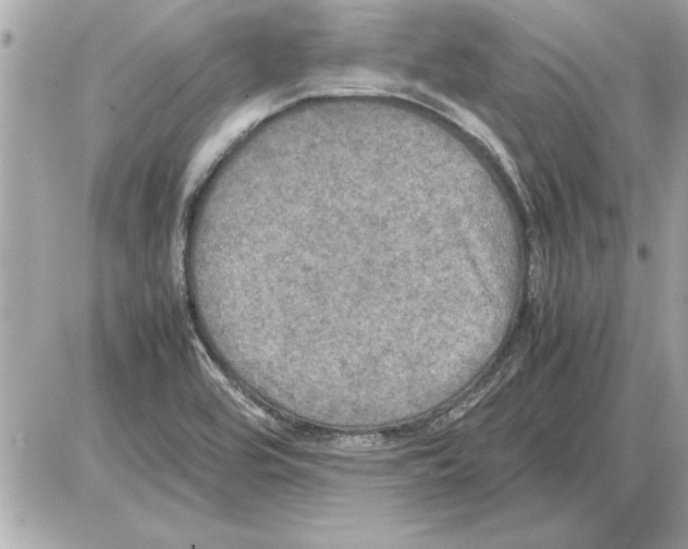 X0000085271464200704092127