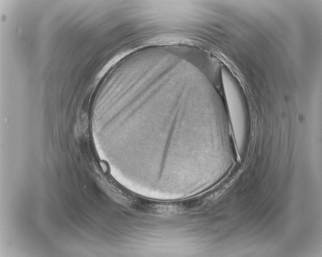 X0000085271465200704092127