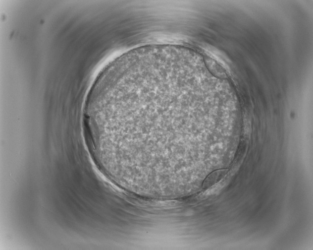 X0000085271471200704092127