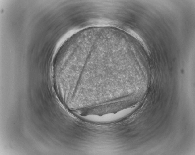 X0000085271472200704092127