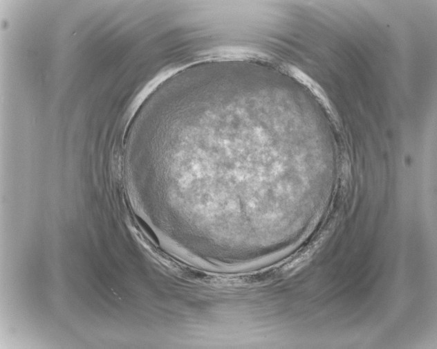 X0000085271473200704092127