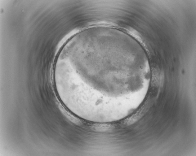 X0000085271474200704092127