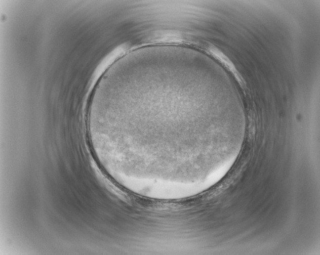 X0000085271475200704092127