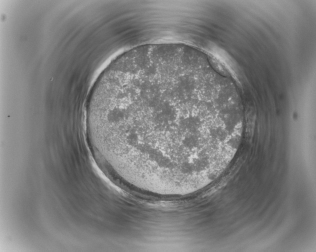 X0000085271476200704092127