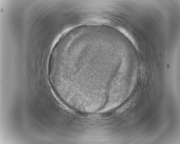 X0000085271477200704092127