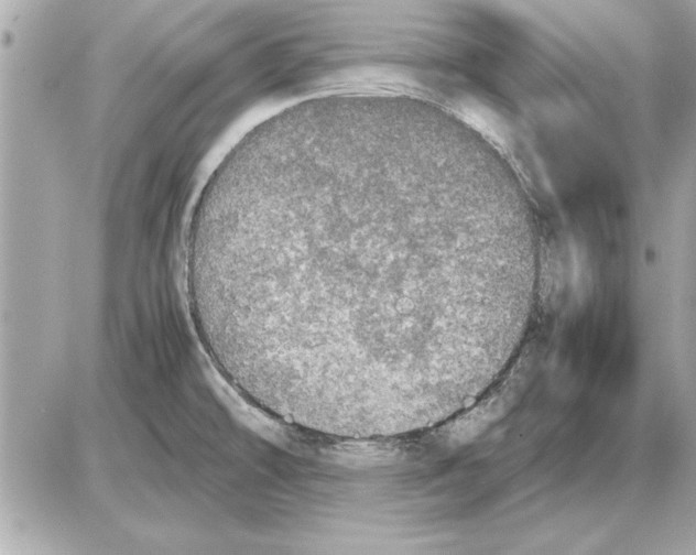 X0000085271478200704092127