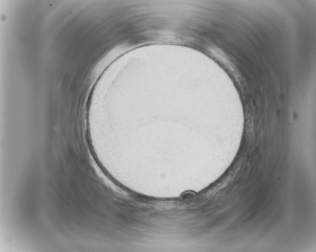 X0000085271479200704092127