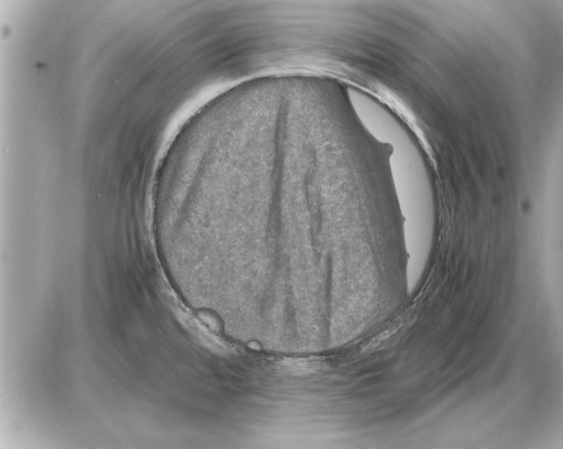 X0000085271480200704092127