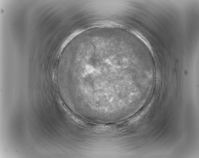 X0000085271481200704092127