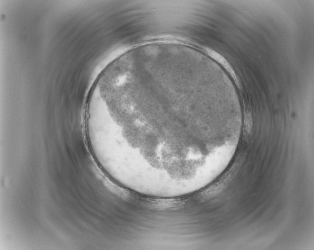 X0000085271482200704092127