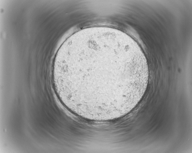 X0000085271483200704092127