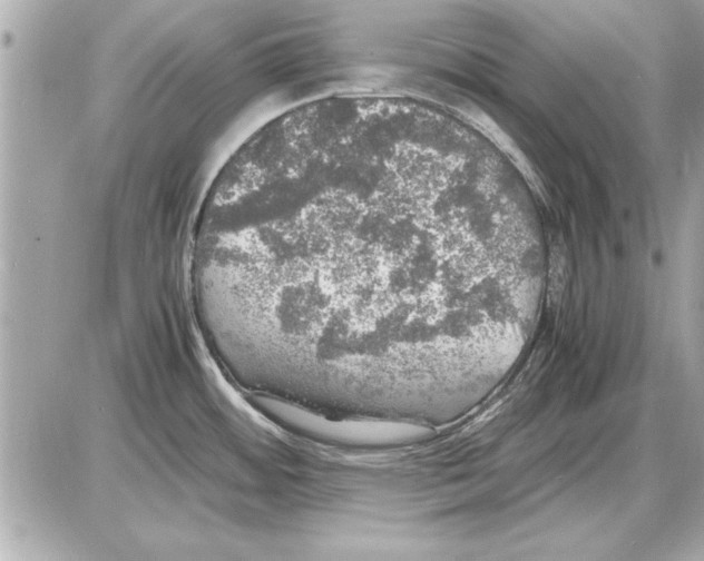 X0000085271484200704092127